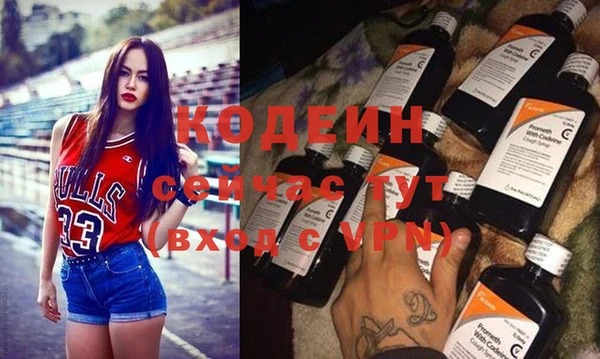 первитин Новодвинск