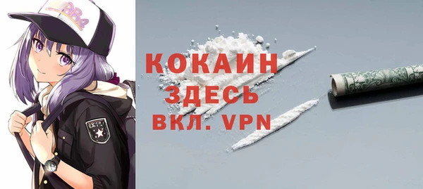 первитин Новодвинск