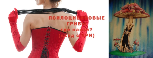 дмт Новозыбков