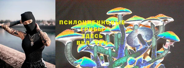 первитин Новодвинск