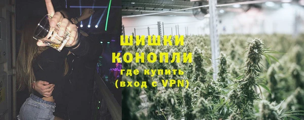 первитин Новодвинск