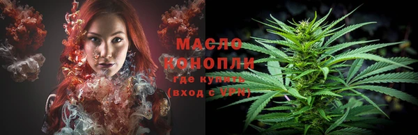 первитин Новодвинск