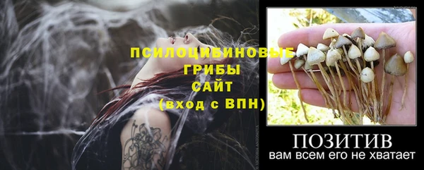 дмт Новозыбков