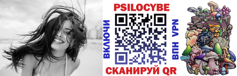 Псилоцибиновые грибы Psilocybine cubensis  Подпорожье 